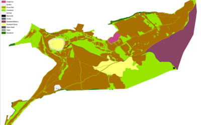 Bracken Feasibility Study