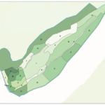 BNG Habitat Survey